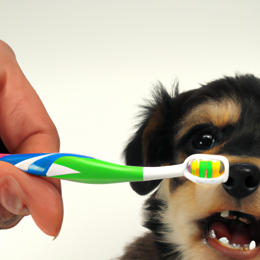 how-to-brush-dogs-teeth-one-top-dog