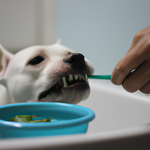 how-to-fix-dogs-bad-breath-one-top-dog