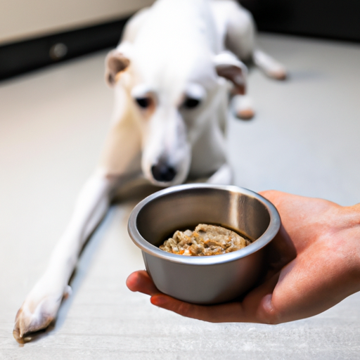 How To Treat Diarrhea In Dogs