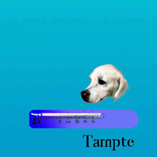 What Should A Dogs Temperature Be