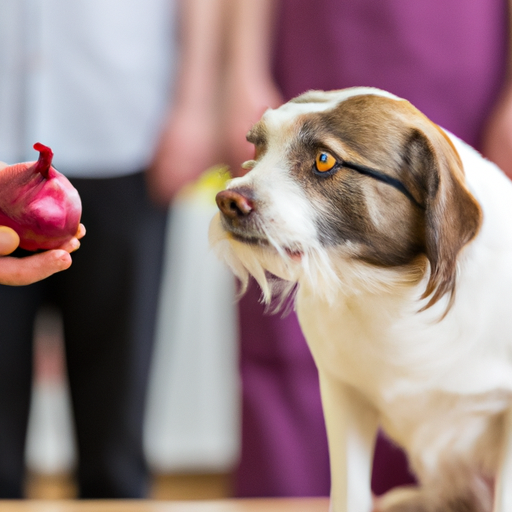 Why Are Onions Bad For Dogs