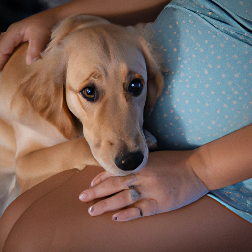 Can Dogs Sense When You’re Pregnant?