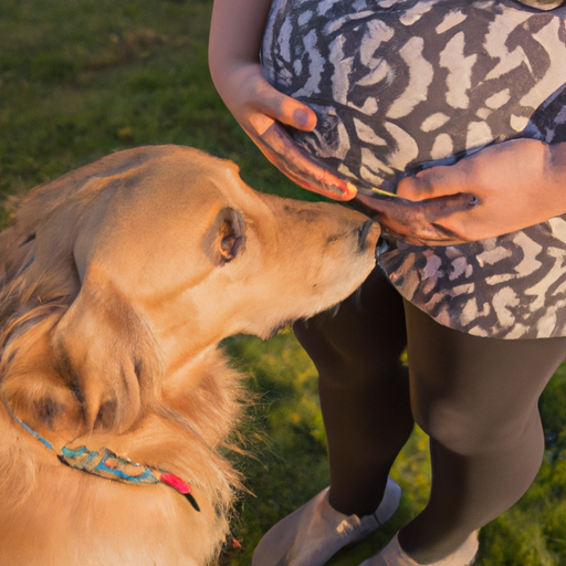 Can Dogs Tell When You Are Pregnant?