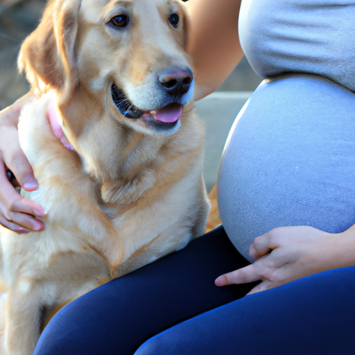 Do Boy Dogs Know When You Are Pregnant?