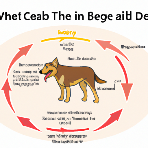 Do Female Dogs Bleed When in Heat?