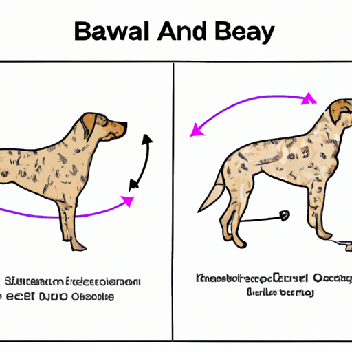 Do Female Dogs Hump When Fixed?