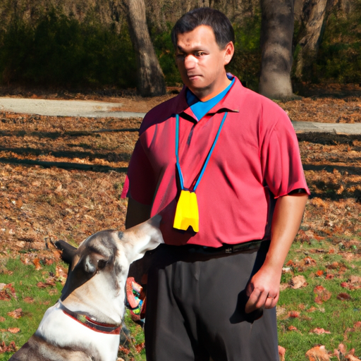 Disciplina canina: una guía completa