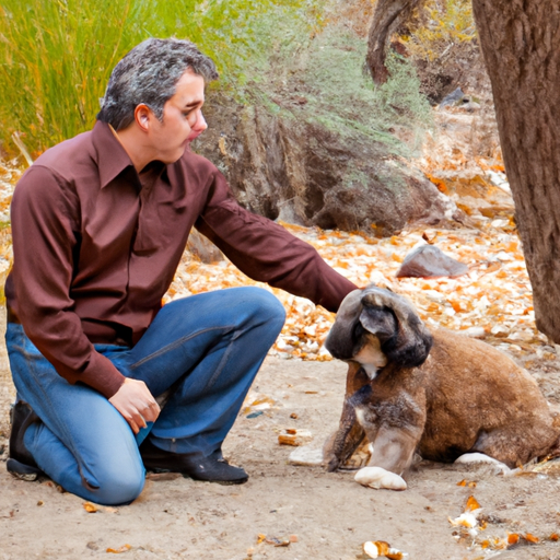 dogs-front-legs-shaking-when-sitting-one-top-dog