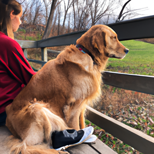 How Do Dogs Help With Anxiety