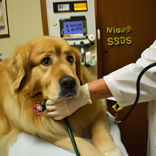 How Do You Take a Dog’s Blood Pressure?