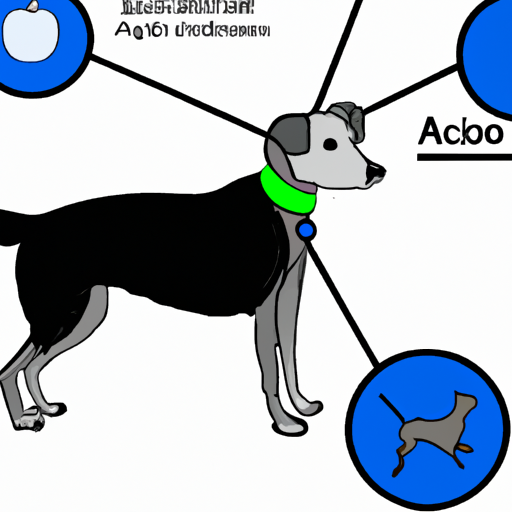 How Does AirTag Work for Dogs?