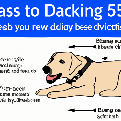 How Fast Do Dogs Breathe?