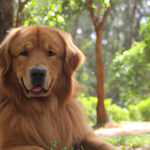 How Good is Dogs Hearing