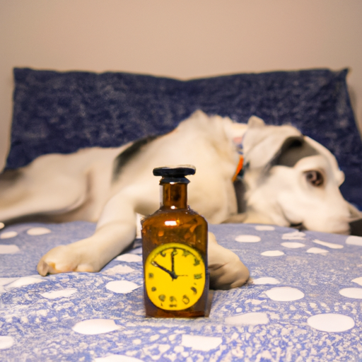 How Long Does It Take for Melatonin to Work in Dogs?