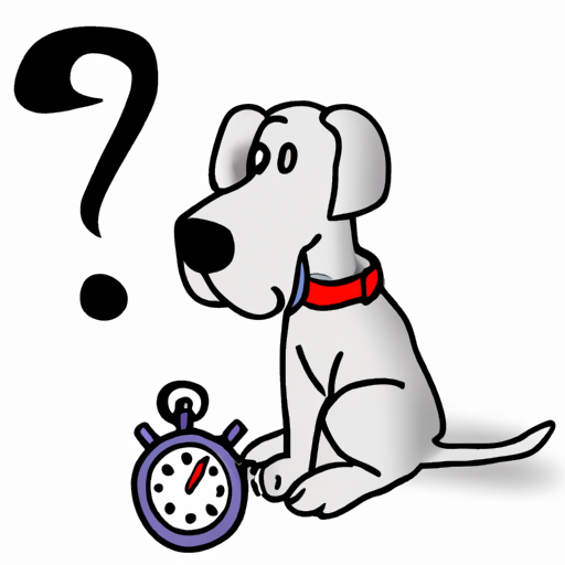 How Long Is a Dog’s Attention Span?