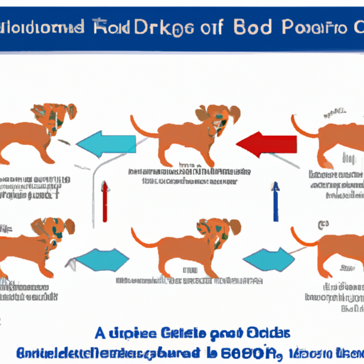 How Long is Giardia Contagious in Dogs?