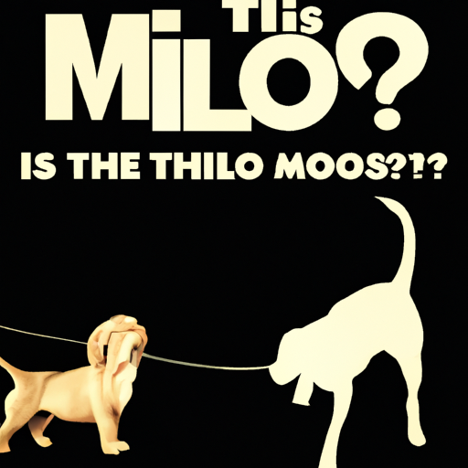 How Many Dogs Died in Milo and Otis?