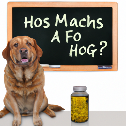 How Many mg Fish Oil for Dogs?