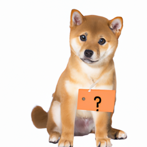 How Much Are Shiba Inu Dogs