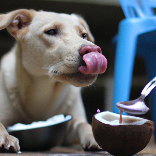 How Much Coconut Oil Per Day for Dogs