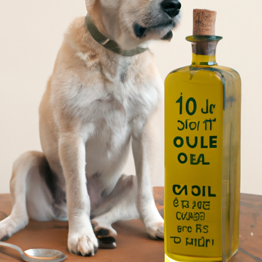 How Much Olive Oil for Dogs Per Day?