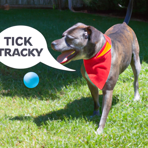 How to Avoid Ticks on Dogs