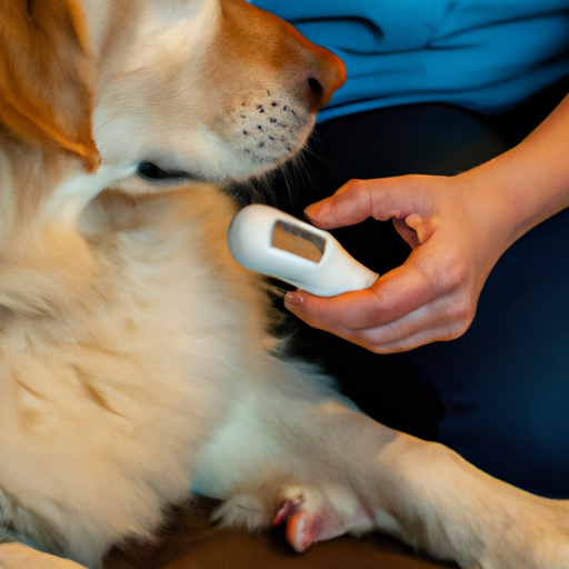 how-to-check-a-dog-s-blood-sugar-one-top-dog