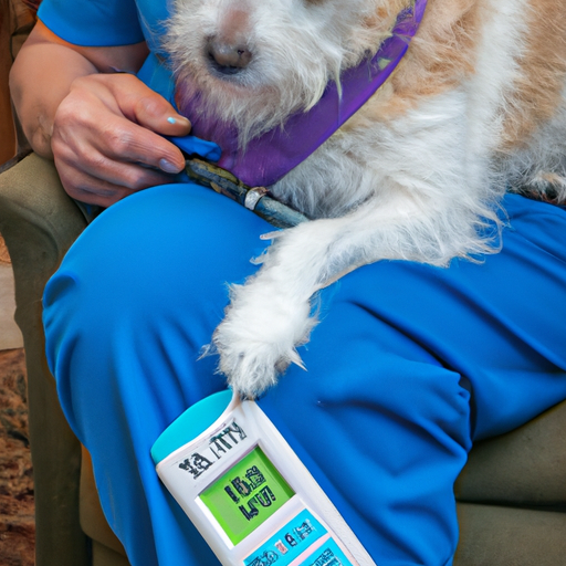 How to Check Dogs Blood Sugar