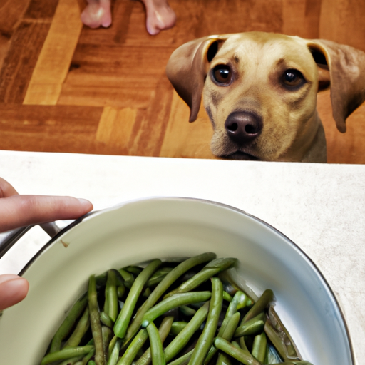 How to Cook Green Beans for Dogs