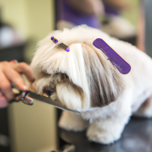 How to Cut a Havanese Dog’s Hair: A Comprehensive Guide for Caregivers