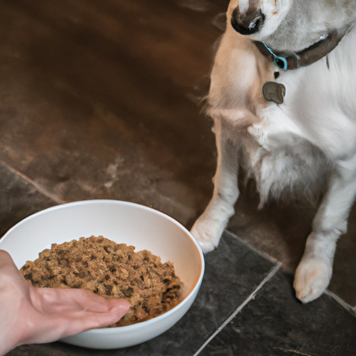 How to Feed Dogs