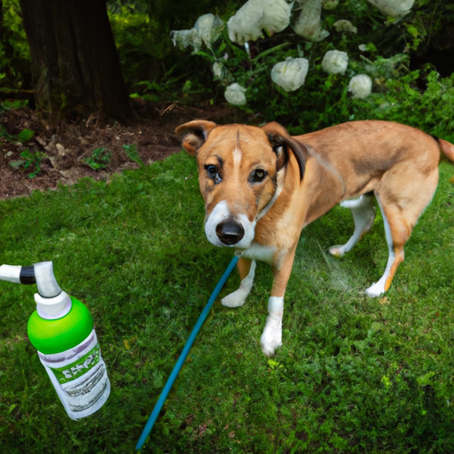 How to Get Rid of Ticks in Your Yard Safe for Dogs