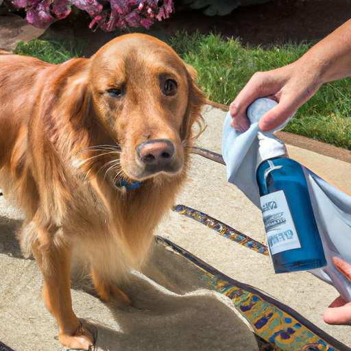 How to Get Tear Stains Off Dogs