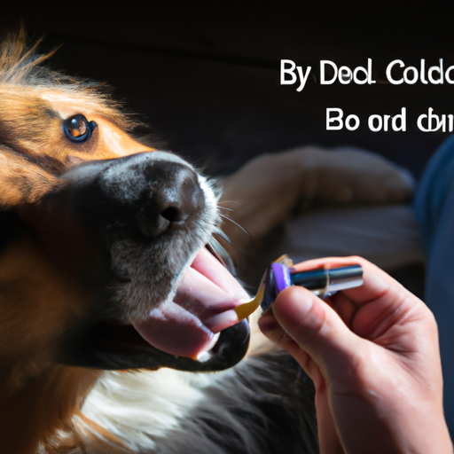 How to Give CBD Oil to Dogs: A Comprehensive Guide for Caregivers