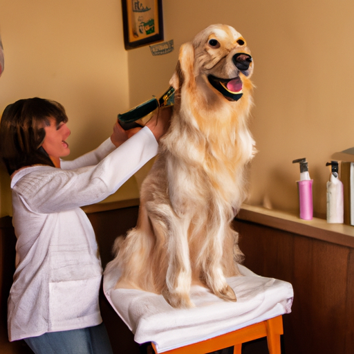 How to Groom Dogs