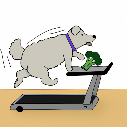 How to Help Dogs Lose Weight