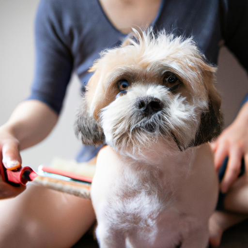 How to Help with Shedding Dogs