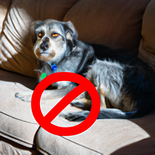 How to Keep Dogs Off of Furniture