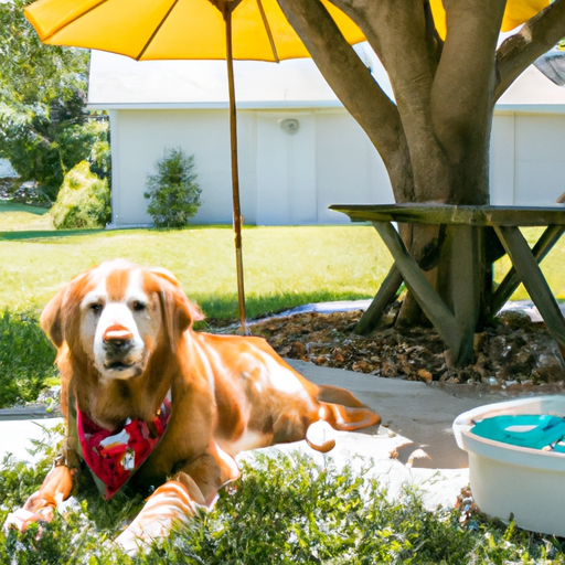 How to Keep Outside Dogs Cool in Summer