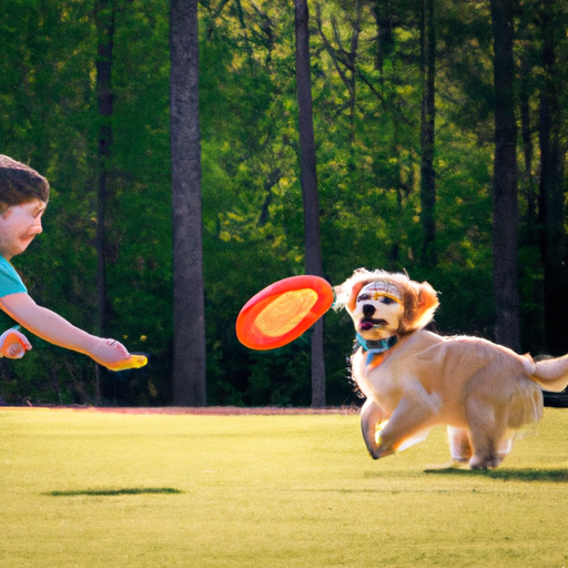 Comment jouer avec un chien