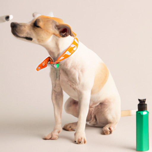 How to Prevent Fleas on Dogs