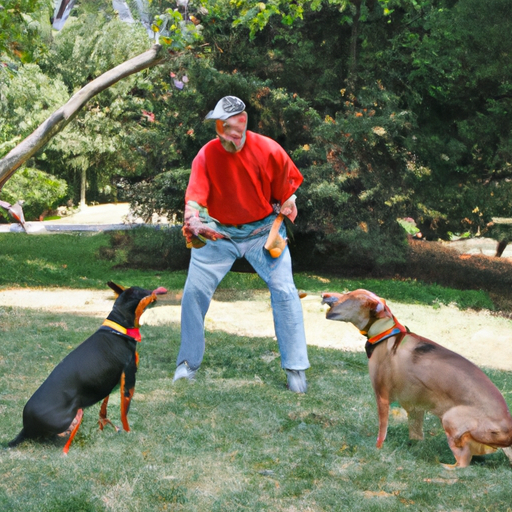 How to Stop Your Dog from Being Possessive Over Toys with Other Dogs