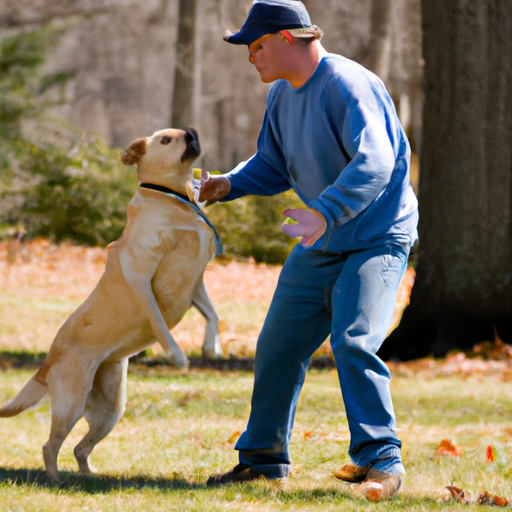 How to Stop Dogs from Jumping