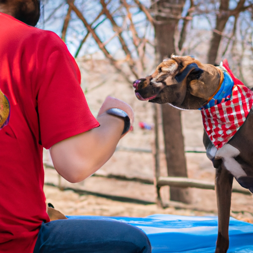 How to Stop My Dog from Barking Aggressively at Other Dogs