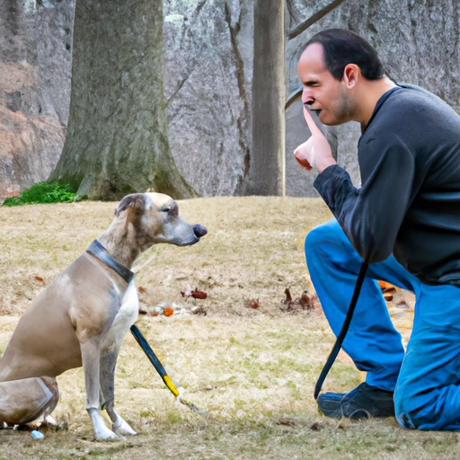 How to Stop Your Dog from Barking at Other Dogs