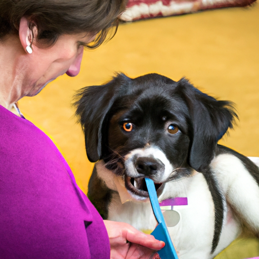 How to Train Dogs Not to Bite