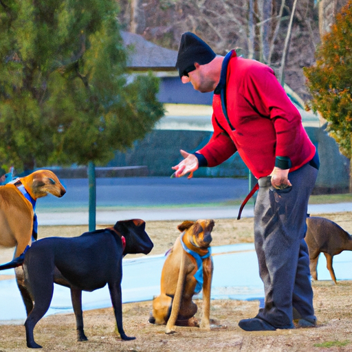 How to Train My Dog to Stop Barking at Other Dogs