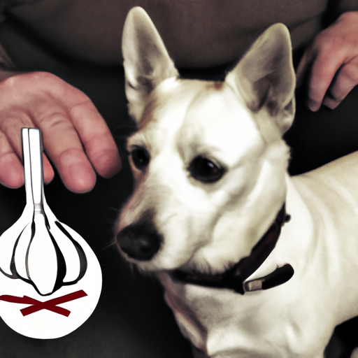 How Toxic is Garlic to Dogs?