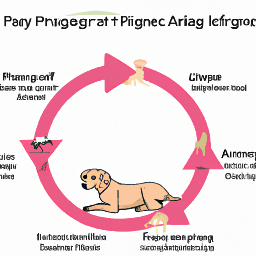 How Young Can Dogs Get Pregnity?