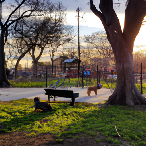 Parks Where Dogs Are Allowed